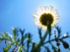 © / flickr hamed-saber