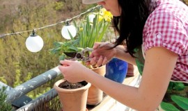 Verregnetes Frühjahr: Zu spät für die Balkonbepflanzung?