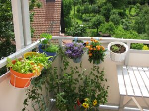Wie Balkonpflanzen am besten überwintern